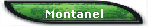 Montanel